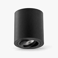 CEILING AND WALL LIGHTS